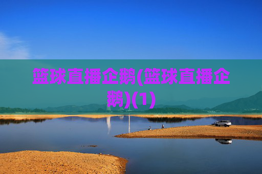 篮球直播企鹅(篮球直播企鹅)(1)