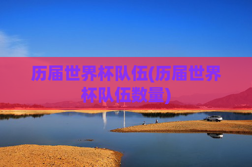 历届世界杯队伍(历届世界杯队伍数量)