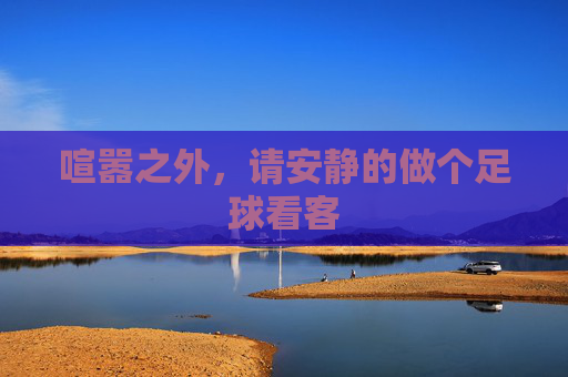 喧嚣之外,请安静的做个足球看客