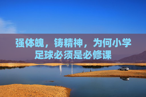 强体魄，铸精神，为何小学足球必须是必修课