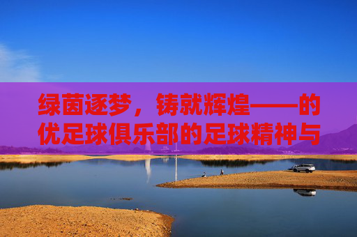 绿茵逐梦,铸就辉煌——的优足球俱乐部的足球精神与成长之路