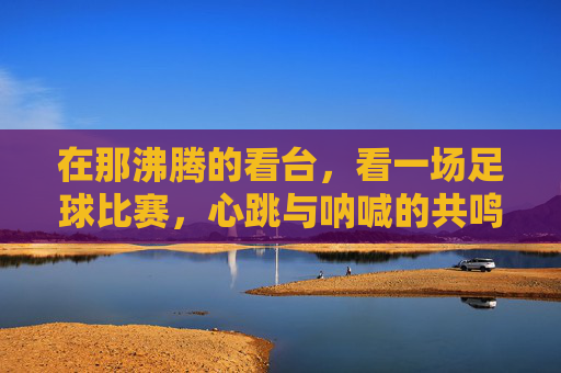 在那沸腾的看台,看一场足球比赛,心跳与呐喊的共鸣