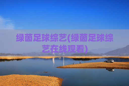绿茵足球综艺(绿茵足球综艺在线观看)