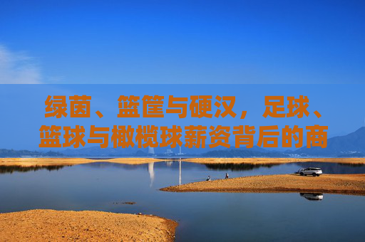 绿茵、篮筐与硬汉,足球、篮球与橄榄球薪资背后的商业逻辑