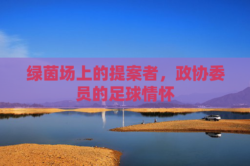绿茵场上的提案者,政协委员的足球情怀
