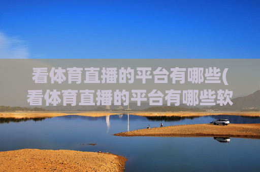看体育直播的平台有哪些(看体育直播的平台有哪些软件)