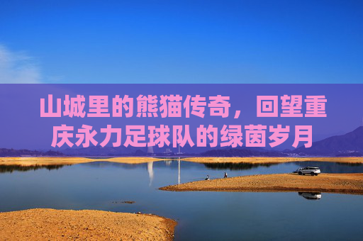 山城里的熊猫传奇,回望重庆永力足球队的绿茵岁月