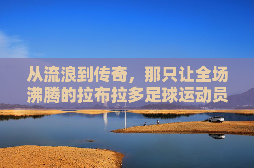 从流浪到传奇,那只让全场沸腾的拉布拉多足球运动员