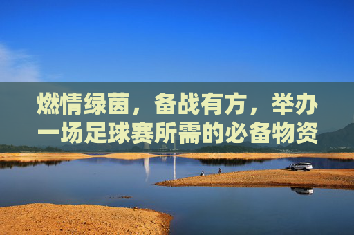 燃情绿茵,备战有方,举办一场足球赛所需的必备物资清单
