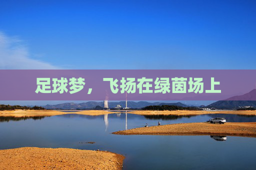 足球梦,飞扬在绿茵场上