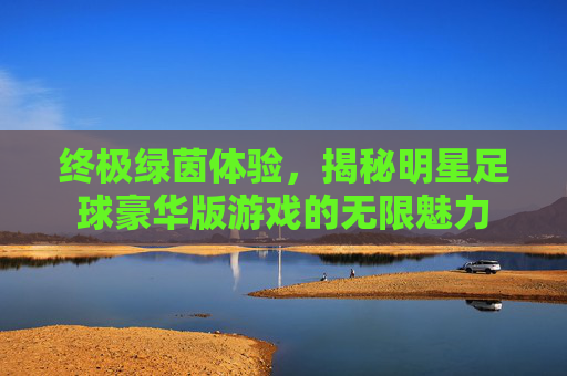 终极绿茵体验,揭秘明星足球豪华版游戏的无限魅力