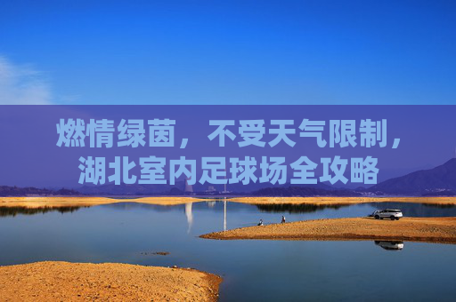 燃情绿茵，不受天气限制，湖北室内足球场全攻略