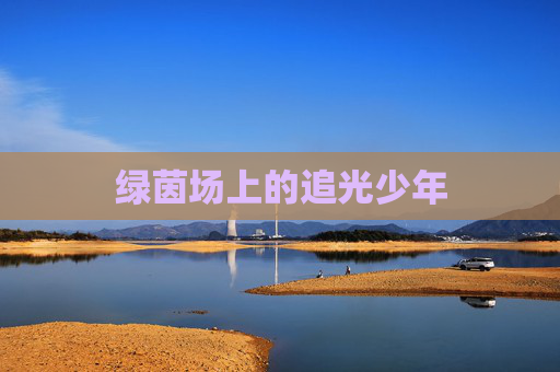 绿茵场上的追光少年