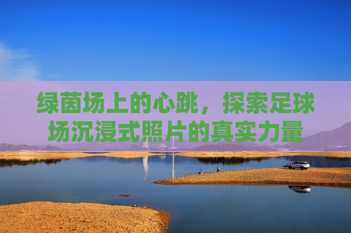 绿茵场上的心跳,探索足球场沉浸式照片的真实力量
