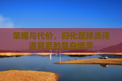 荣耀与代价,归化足球员待遇背后的复杂博弈