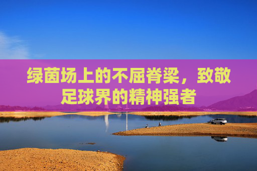 绿茵场上的不屈脊梁,致敬足球界的精神强者