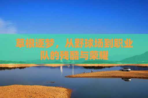 草根逐梦,从野球场到职业队的残酷与荣耀