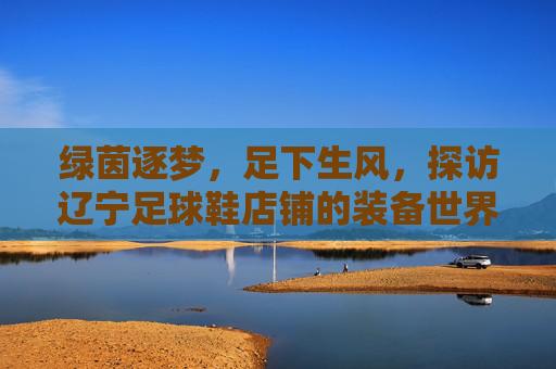 绿茵逐梦,足下生风,探访辽宁足球鞋店铺的装备世界
