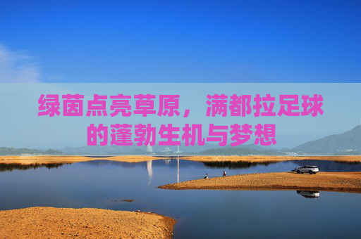 绿茵点亮草原,满都拉足球的蓬勃生机与梦想