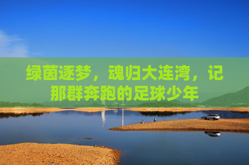 绿茵逐梦,魂归大连湾,记那群奔跑的足球少年