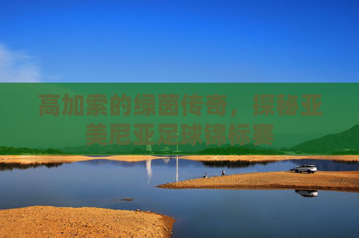 高加索的绿茵传奇,探秘亚美尼亚足球锦标赛