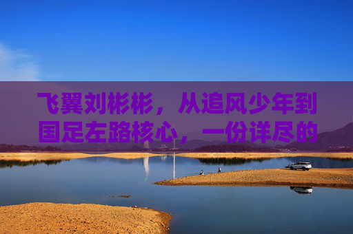 飞翼刘彬彬,从追风少年到国足左路核心,一份详尽的职业生涯简历