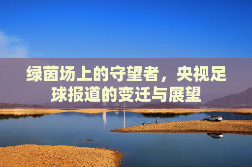 绿茵场上的守望者,央视足球报道的变迁与展望