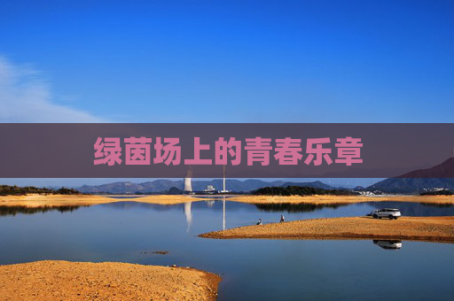 绿茵场上的青春乐章