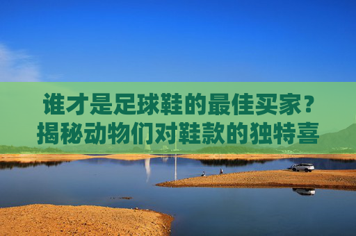 谁才是足球鞋的最佳买家?揭秘动物们对鞋款的独特喜好