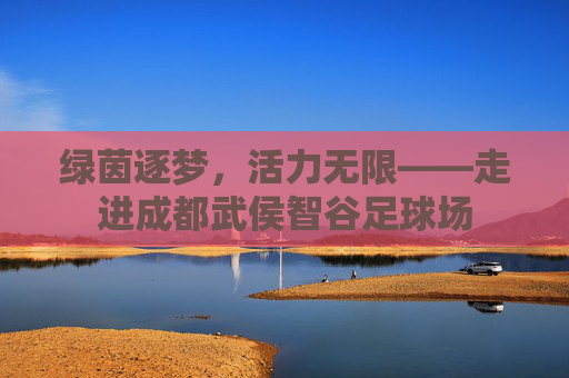 绿茵逐梦,活力无限——走进成都武侯智谷足球场