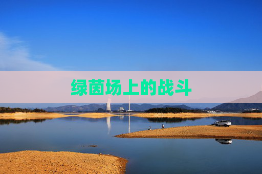 绿茵场上的战斗