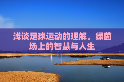 浅谈足球运动的理解,绿茵场上的智慧与人生
