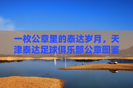 一枚公章里的泰达岁月,天津泰达足球俱乐部公章图鉴