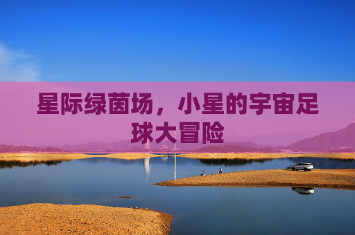星际绿茵场,小星的宇宙足球大冒险