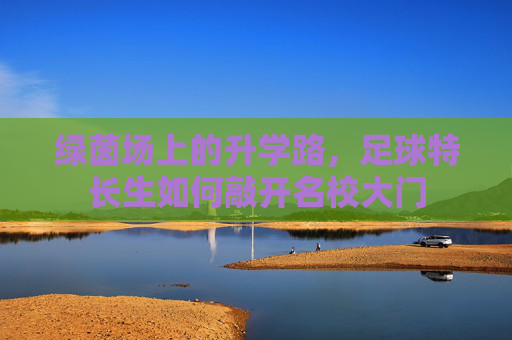 绿茵场上的升学路,足球特长生如何敲开名校大门