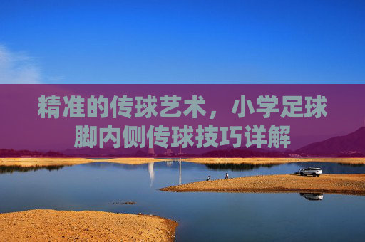 精准的传球艺术,小学足球脚内侧传球技巧详解
