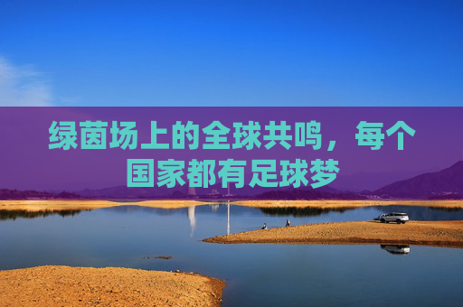 绿茵场上的全球共鸣,每个国家都有足球梦