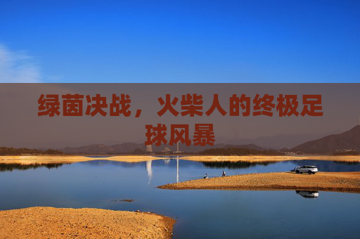 绿茵决战,火柴人的终极足球风暴
