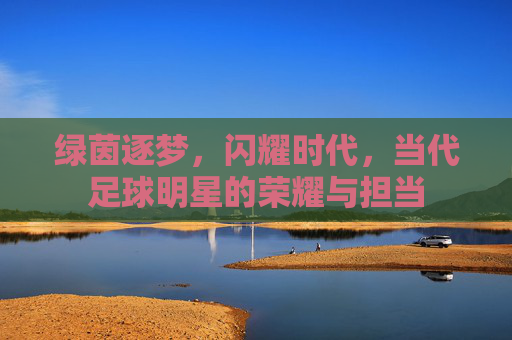 绿茵逐梦，闪耀时代，当代足球明星的荣耀与担当