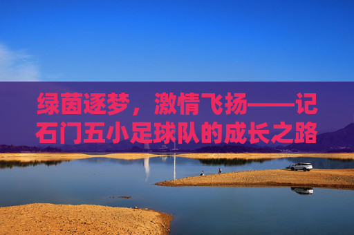 绿茵逐梦,激情飞扬——记石门五小足球队的成长之路