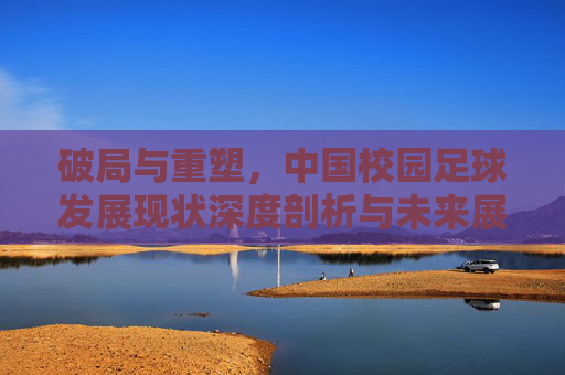 破局与重塑,中国校园足球发展现状深度剖析与未来展望