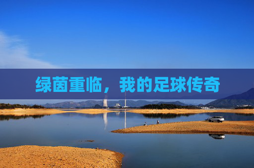 绿茵重临,我的足球传奇