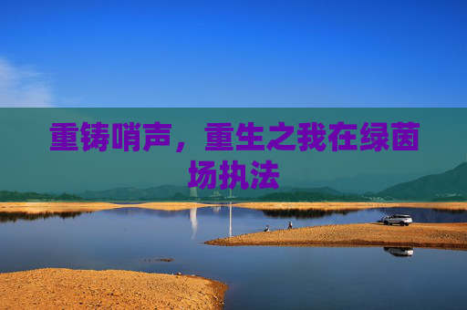 重铸哨声,重生之我在绿茵场执法