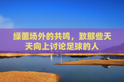 绿茵场外的共鸣，致那些天天向上讨论足球的人