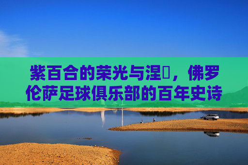 紫百合的荣光与涅槃,佛罗伦萨足球俱乐部的百年史诗