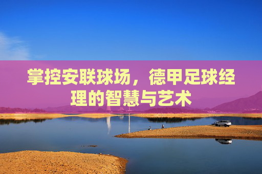 掌控安联球场,德甲足球经理的智慧与艺术