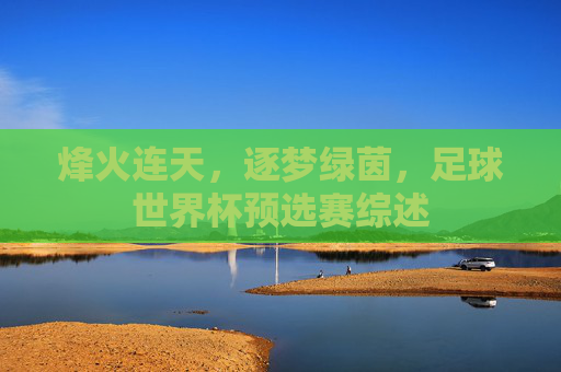 烽火连天,逐梦绿茵,足球世界杯预选赛综述