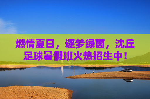 燃情夏日,逐梦绿茵,沈丘足球暑假班火热招生中!