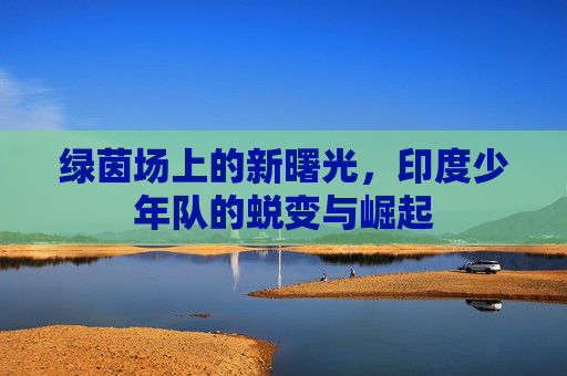 绿茵场上的新曙光,印度少年队的蜕变与崛起