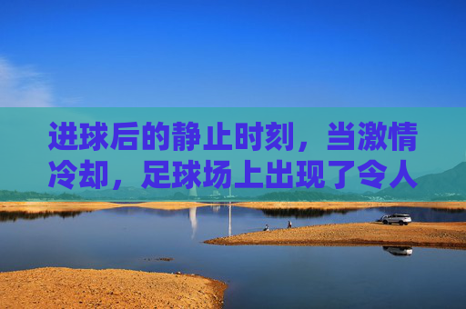 进球后的静止时刻,当激情冷却,足球场上出现了令人费解的慢镜头